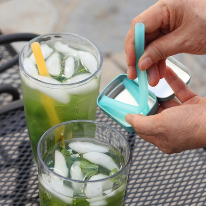 Reusable Silicone Straw with Case
