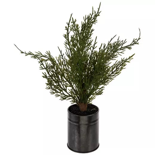 Miniature Cedar Tree In Metal Pot