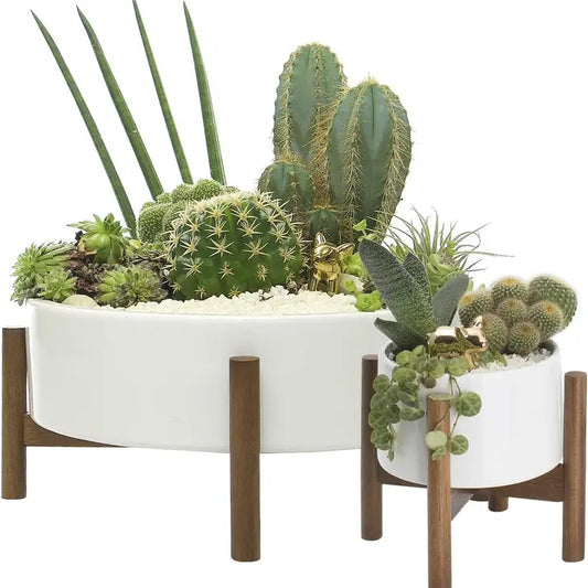 S/2 Succulent Planter Pots