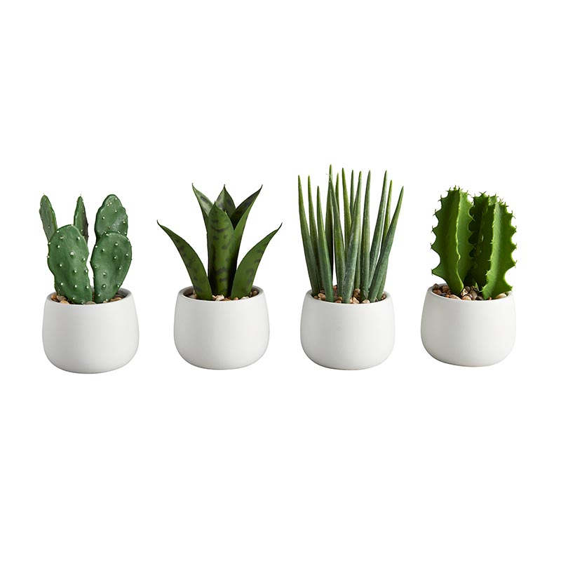 Cactus In Pot Set/4