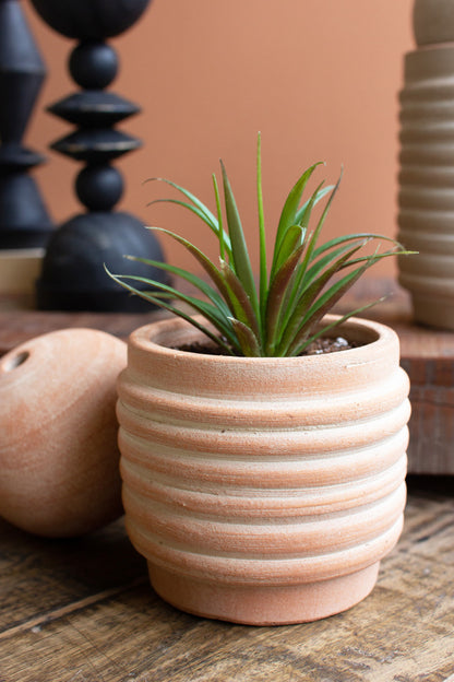 Ribbed Clay Vase Collection