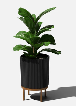 Demi Raised Planter 16"