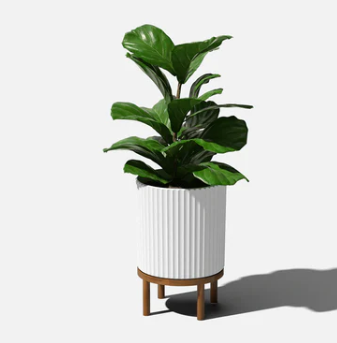 Demi Raised Planter 12"