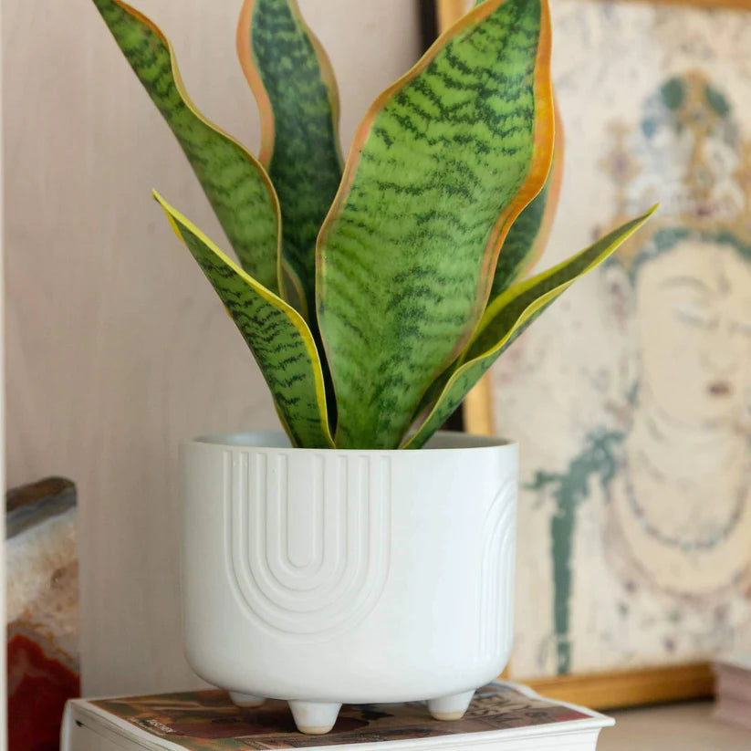 White Rainbow Ceramic Footed Planter