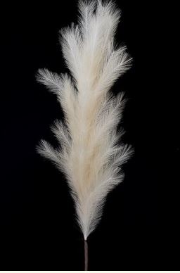 Faux Pampas Grass